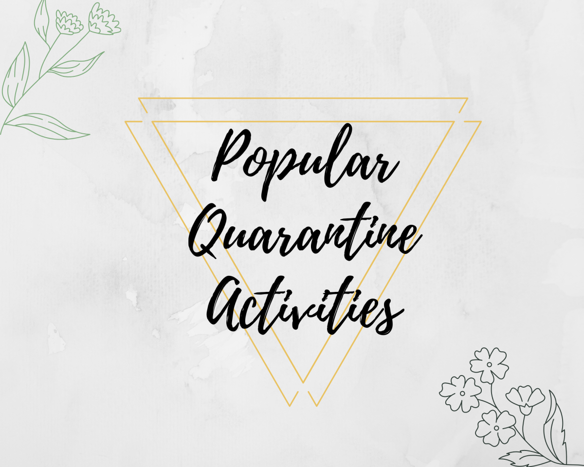 Popular Quarantine Activities