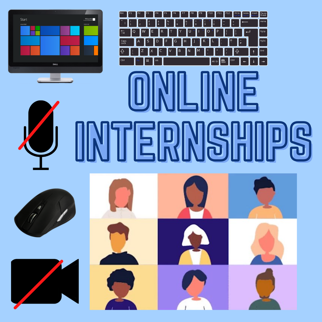 Online Internships