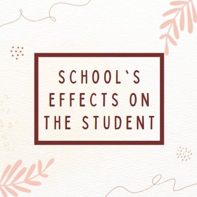 School's effects on the student