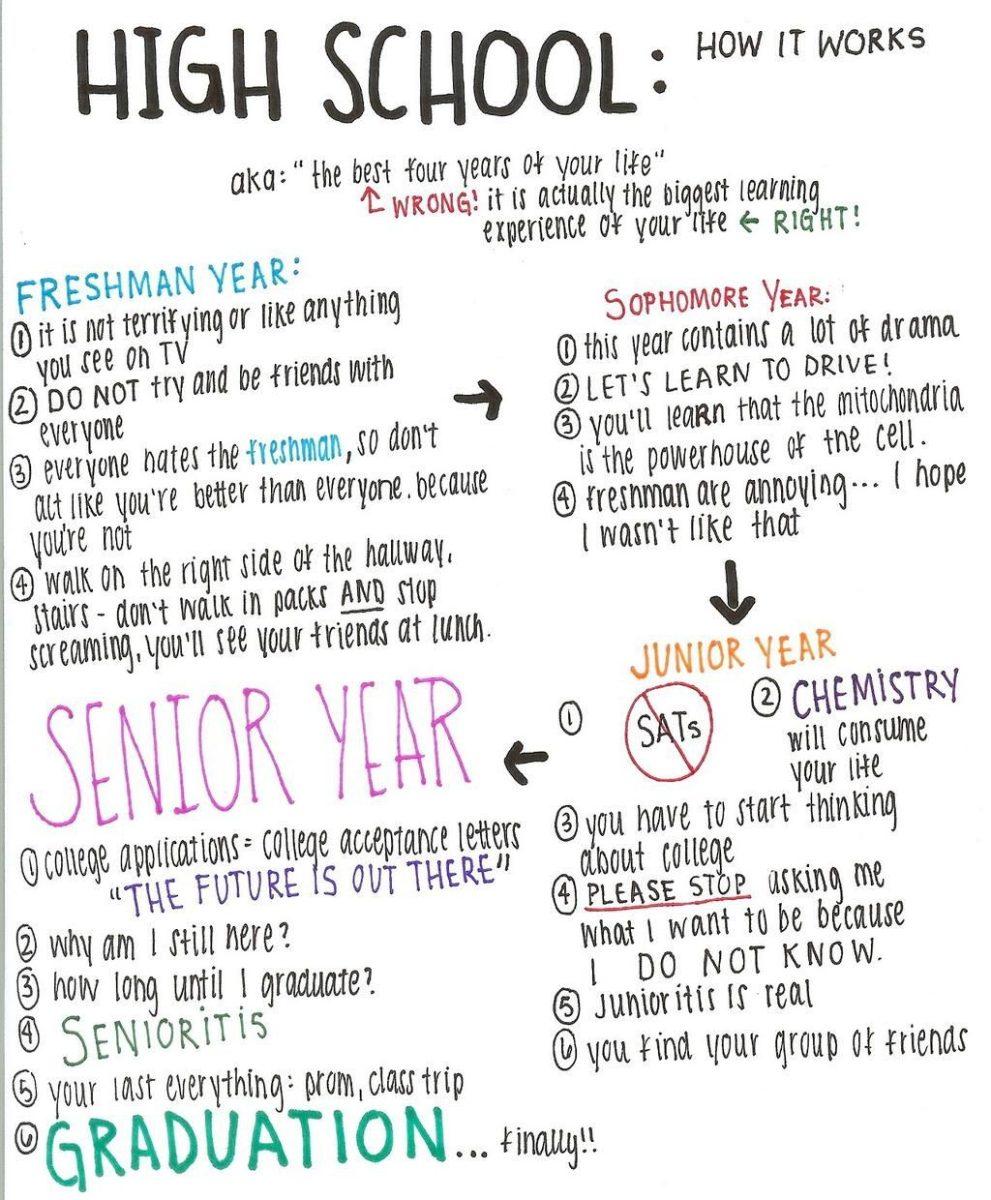 Senior Advice