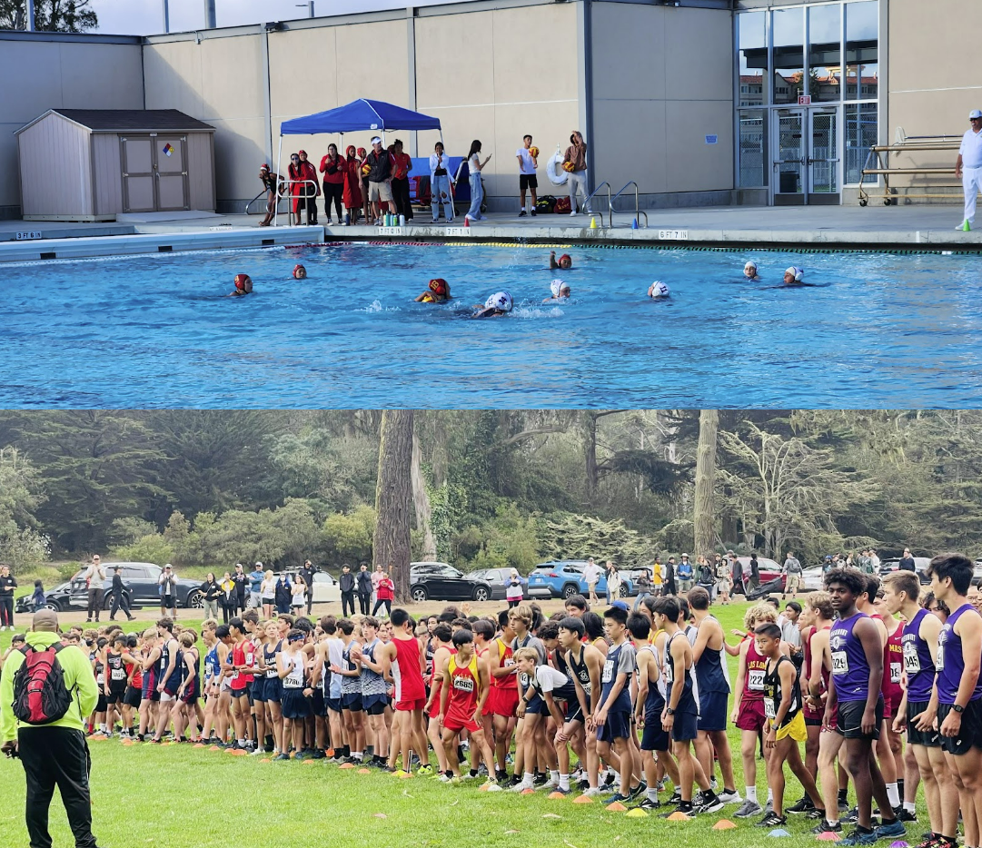 Cross Country & Water Polo Overview