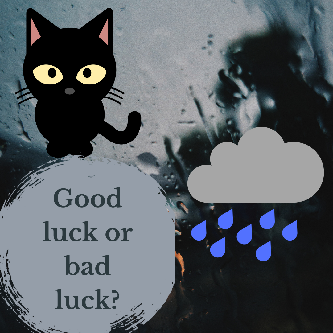 The Superstitions and Symbolism We Have About Rain