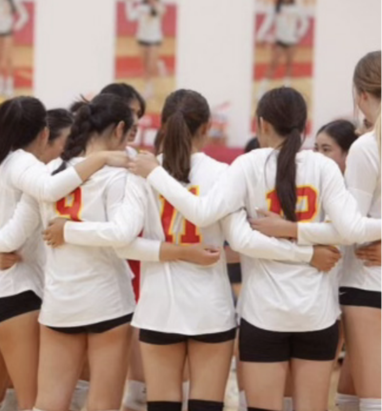 A Spotlight on the Female Sports Teams
