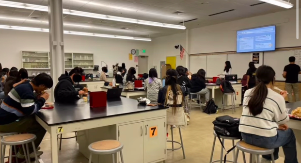 Club Highlights: STEM Club