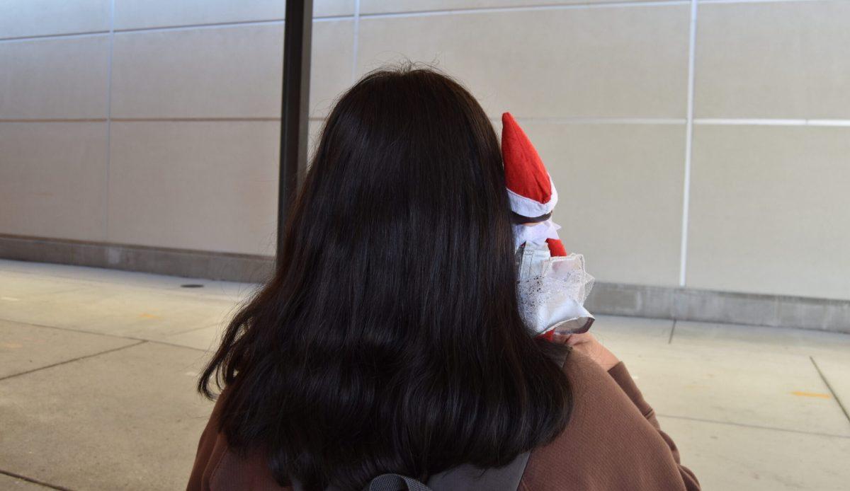 The Elf on the School Shelf