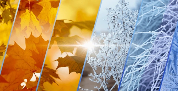 Navigating the Transition From Fall to Winter Sports