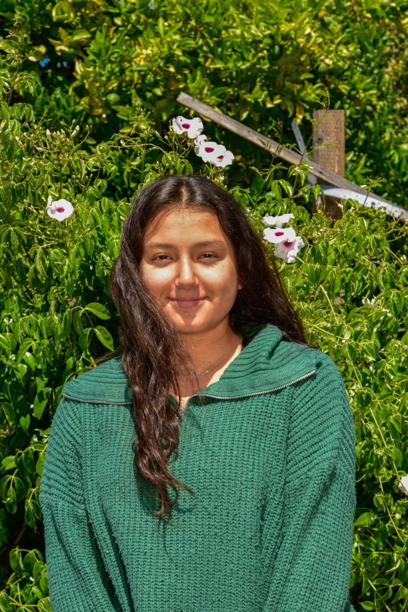 Senai Rivas