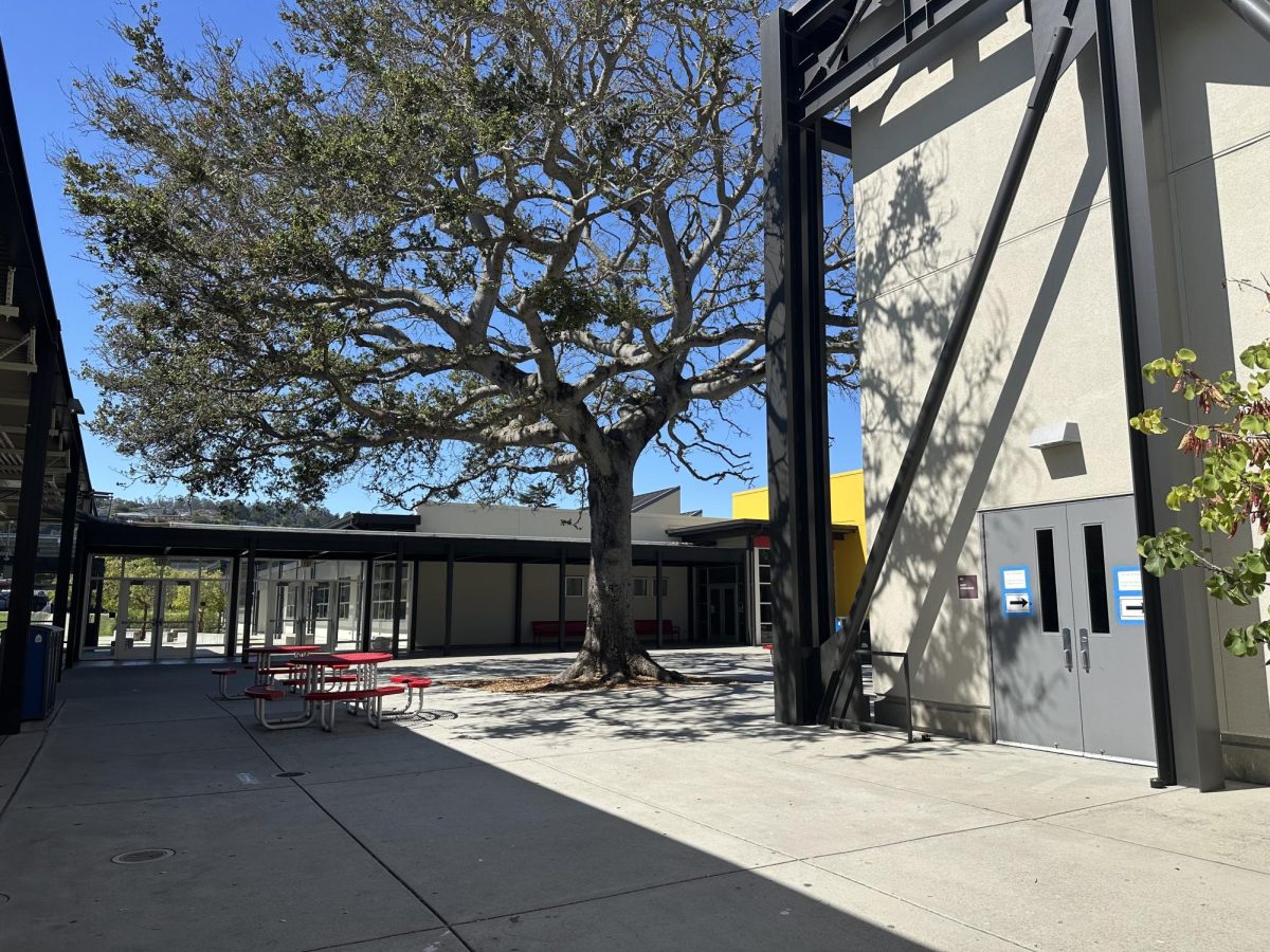 Admin enforces stricter closed campus policy