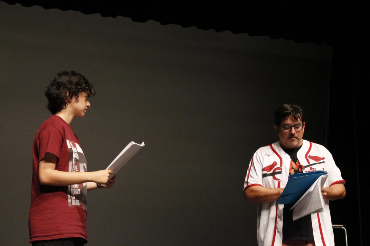 A Glimpse at Much Ado About Nothing
