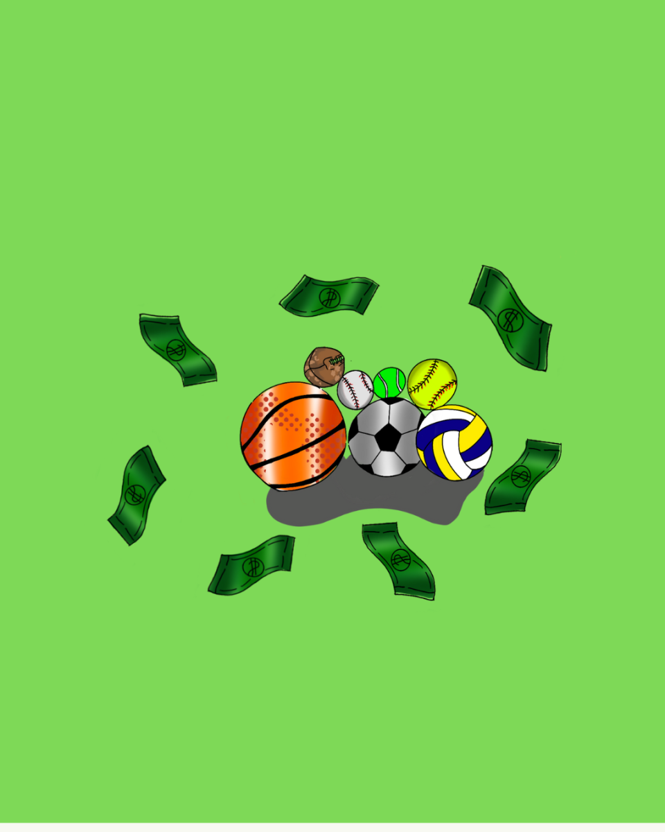 Money Around Sports: How Mills Sports are Funded