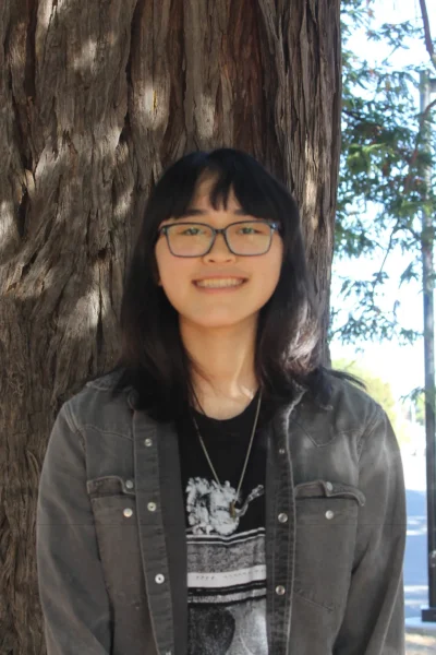 Tianyou Lee