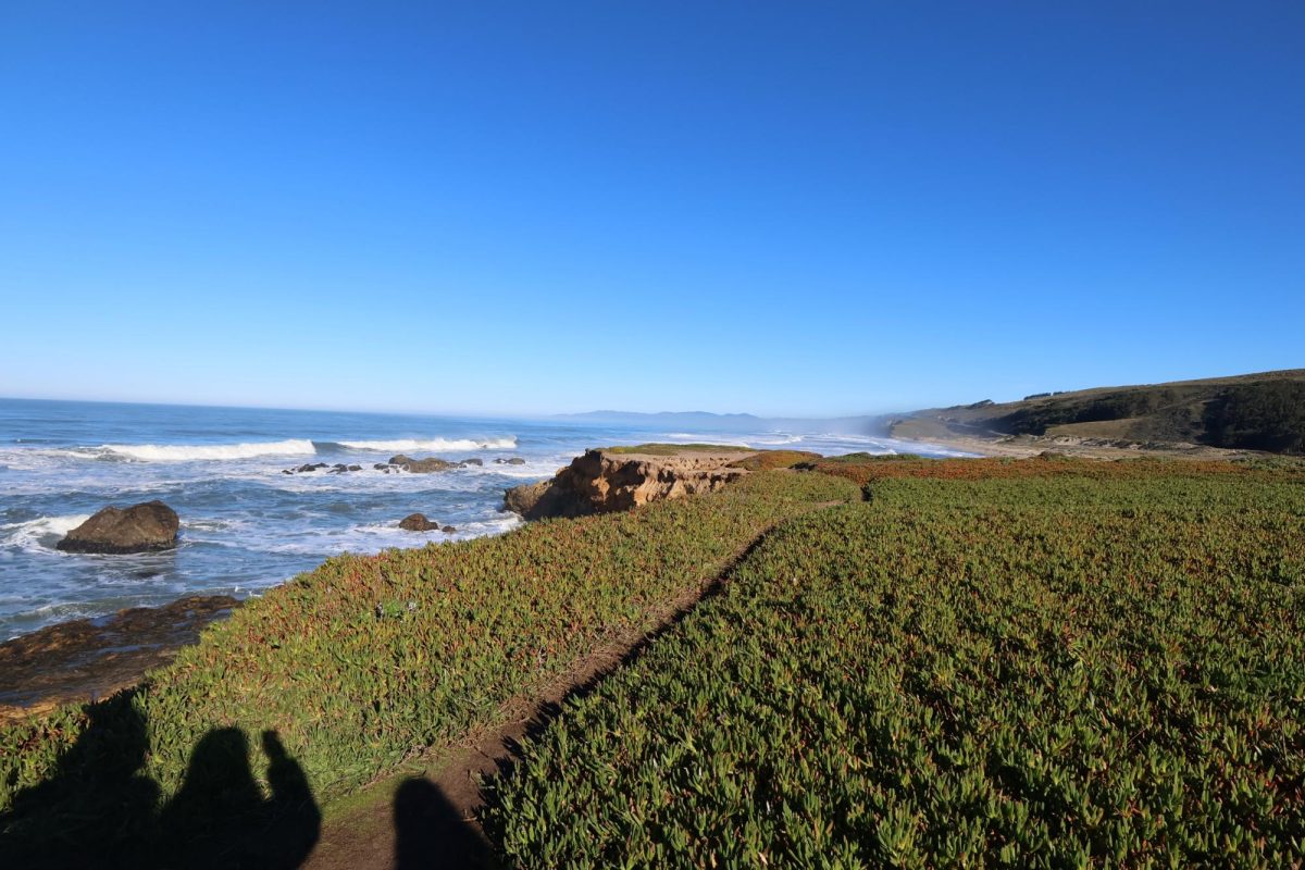 Aislinn Xiao (12) captures a photo of the ocean view during the camp's beach day field trip. 