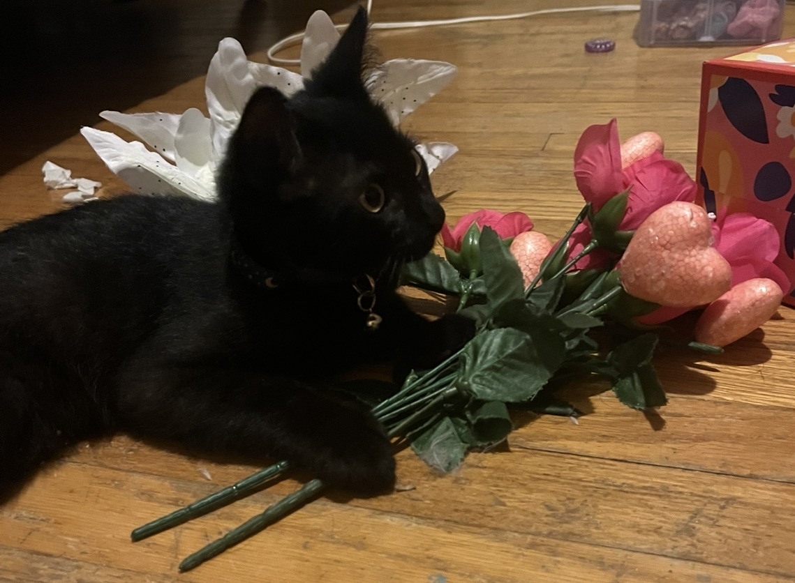 Black kitten holding a small bouquet of bright pink flowers and pastel hearts. 