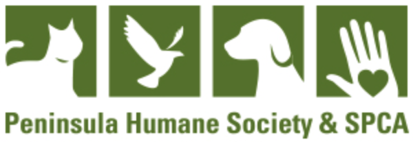 Gain experience in caring for animals and learn how veterinarians do so.